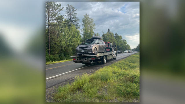 rochester-family-crashes-into-moose-near-tower-minnesota.jpg 