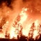 Wildfire moves closer to Canadian city of Yellowknife as residents flee
