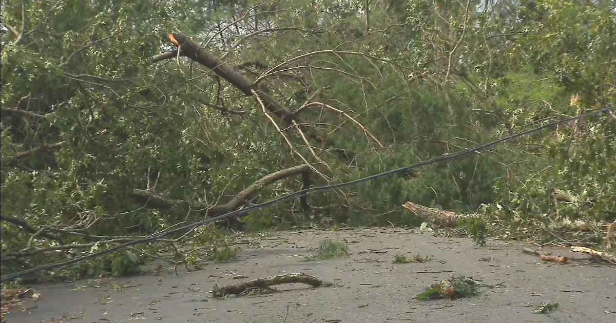 These towns reported storm damage after tornado warnings in Rhode Island, Massachusetts