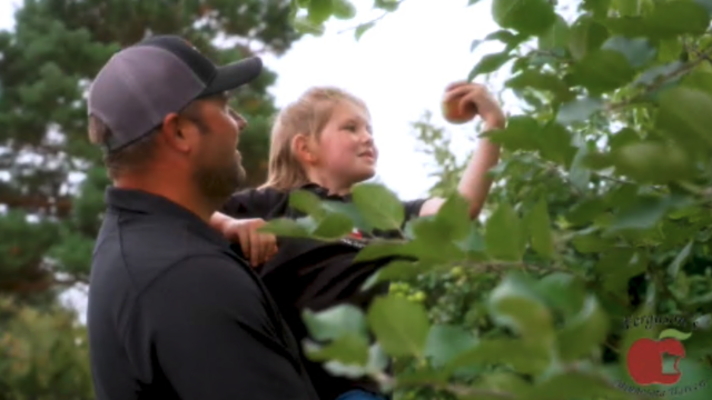 minnesota apple orchard girl picking apple 