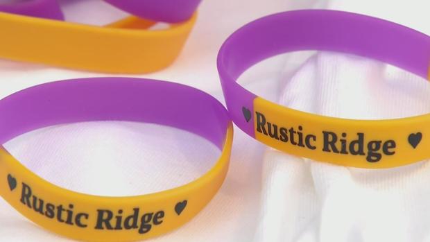 Plum Rustic Ridge bracelets 