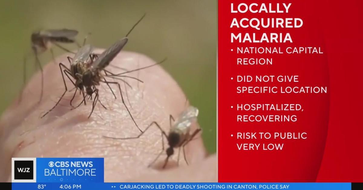 Positive case of 'locally acquired' malaria found in Maryland, health