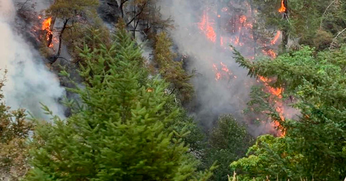 San Francisco firefighters deployed to Smith River Complex in Northern California