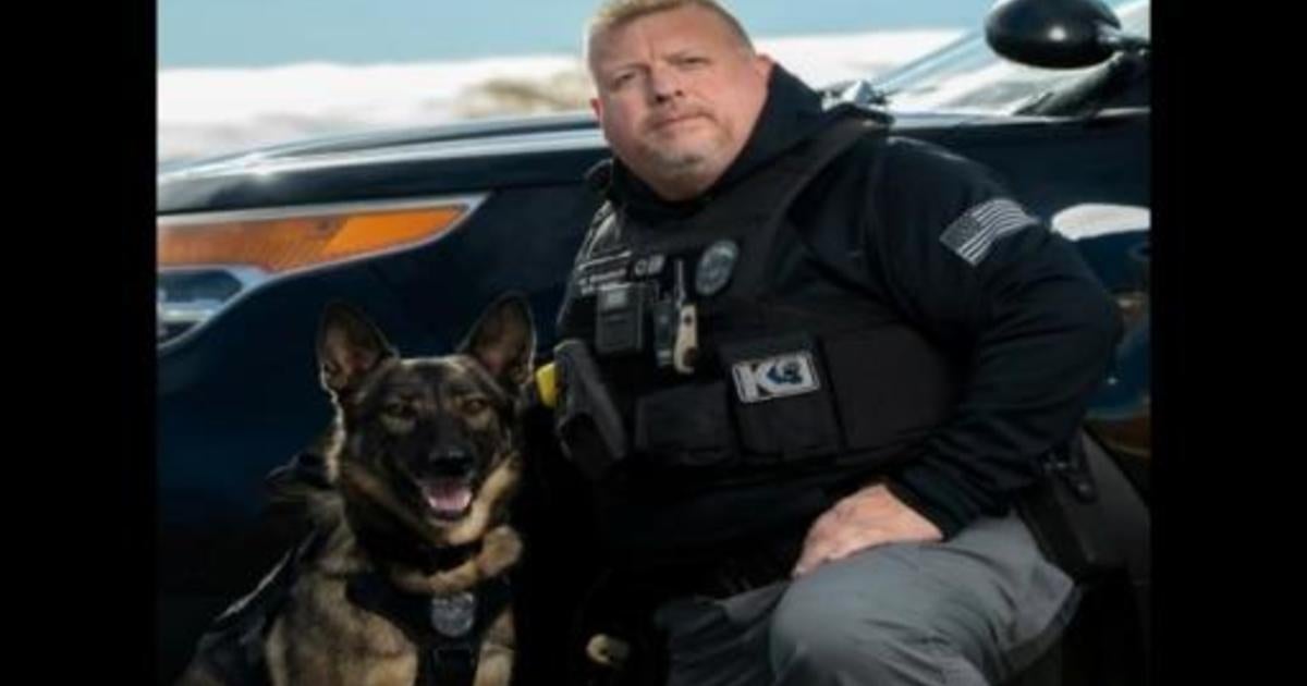 Meet UTPD's K9s Who Help Keep UT Safe : Police Department