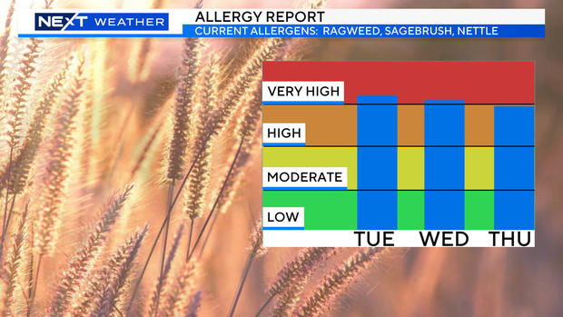 allergy-report-week.jpg 