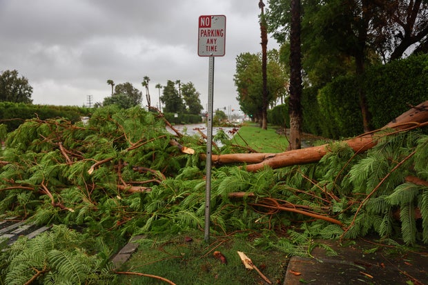 Tropical Storm Hilary Brings Wind and Heavy Rain to Southern California