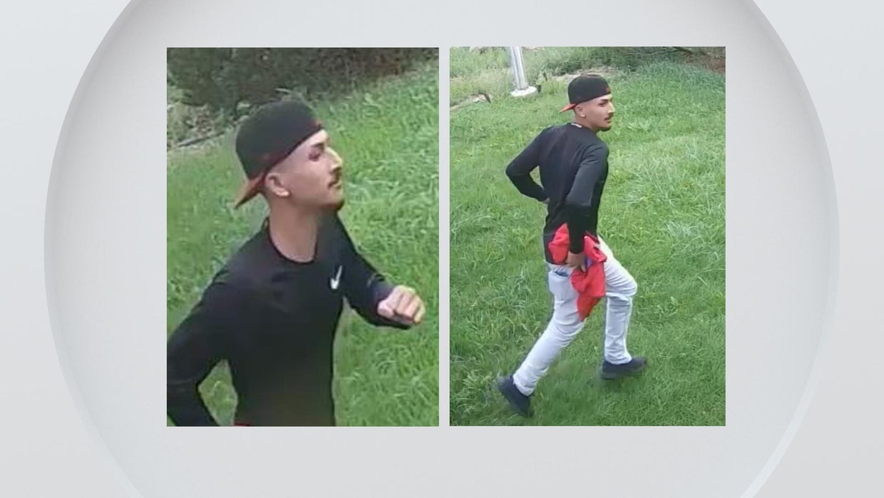 Lakewood police search for sexual assault suspect near Walker Branch ...