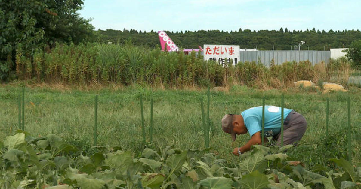 日本の農家は成田空港の真ん中にある祖先の土地に滞在するために数十年間戦ってきました。