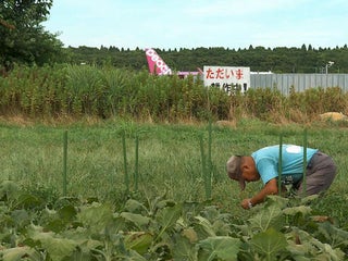 0822-cmo-japanairportbattle-
