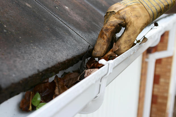 Cleaning out the guttering on a house 