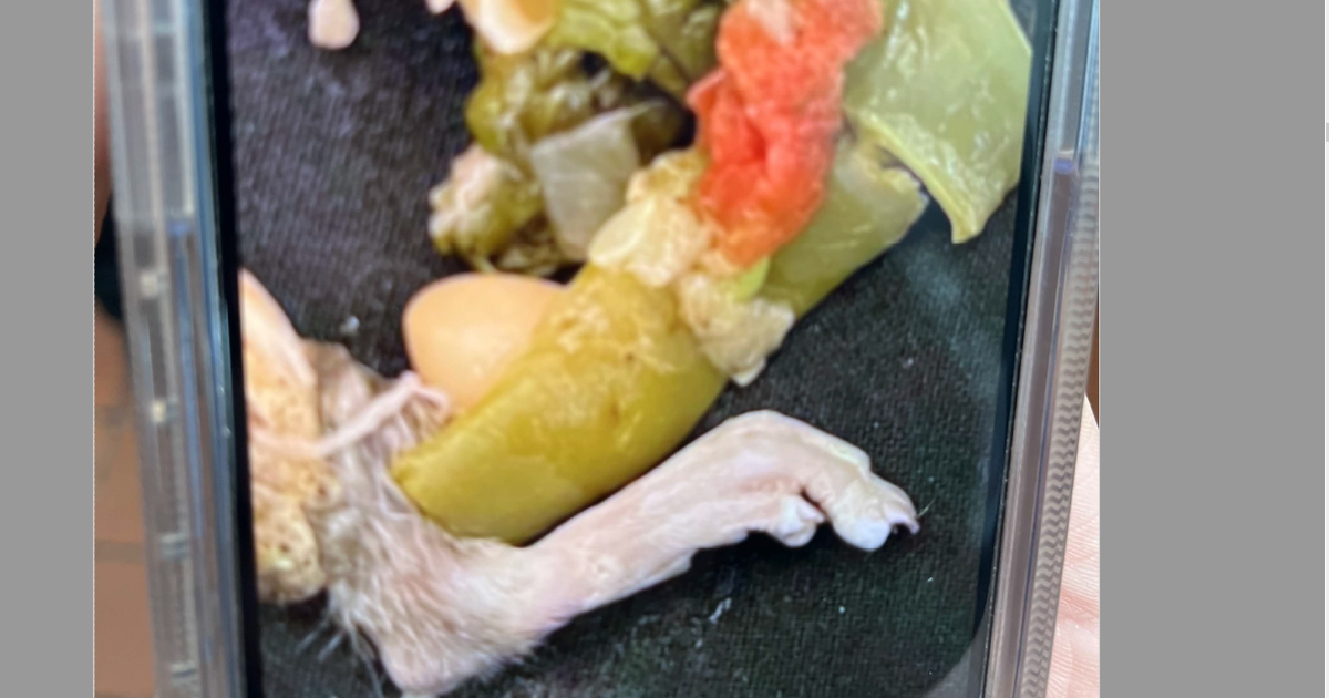 Michigan person suing Olive Yard immediately after discovering rat’s foot in bowl of soup Michigan person suing Olive Yard immediately after discovering rat’s foot in bowl of soup