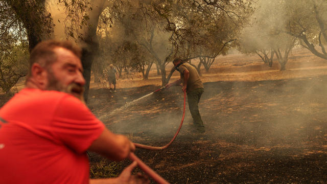Greece Fights Wild Fires as Heat Blankets Southern Europe 