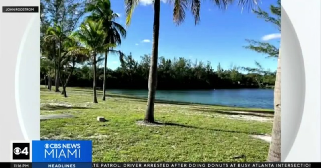 Plans for pickleball courts at Snyder Park stir outrage between some in Fort Lauderdale Plans for pickleball courts at Snyder Park stir outrage between some in Fort Lauderdale