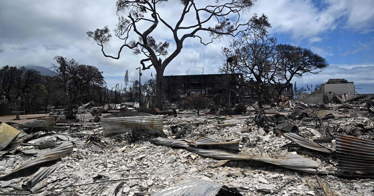 Affected by Idalia or Maui fires? Here's how to get federal aid