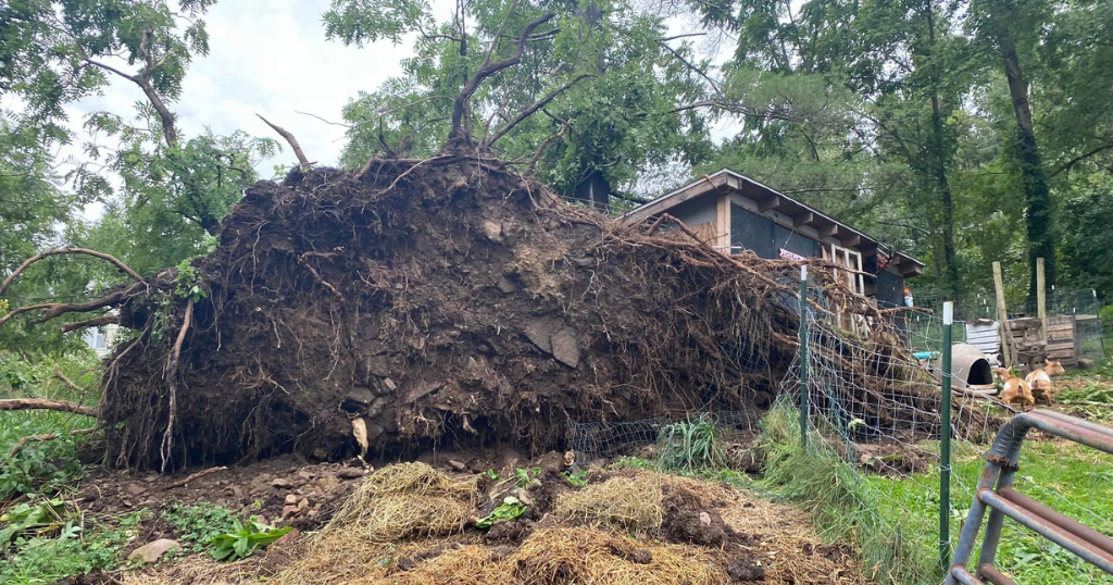 Tornado confirmed in Fayette County near Yogi Bear's Jellystone Park campground - Vimarsana News