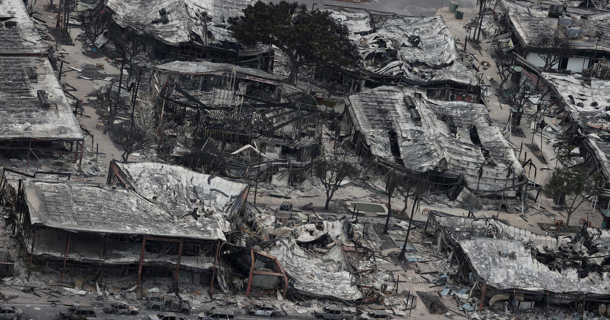 В унищожената от горски пожар Лахайна жителите и собствениците на фирми ще започнат да разглеждат имотите си