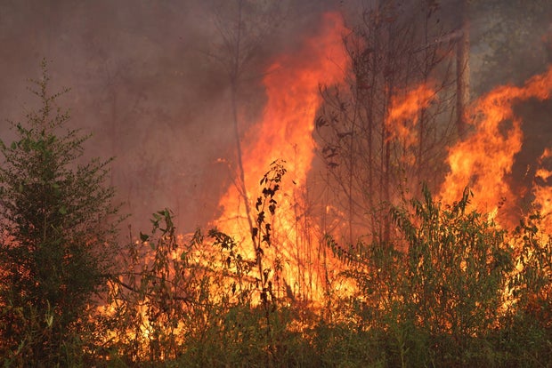 Massive Louisiana wildfire forces hundreds of evacuations amid scorching heat