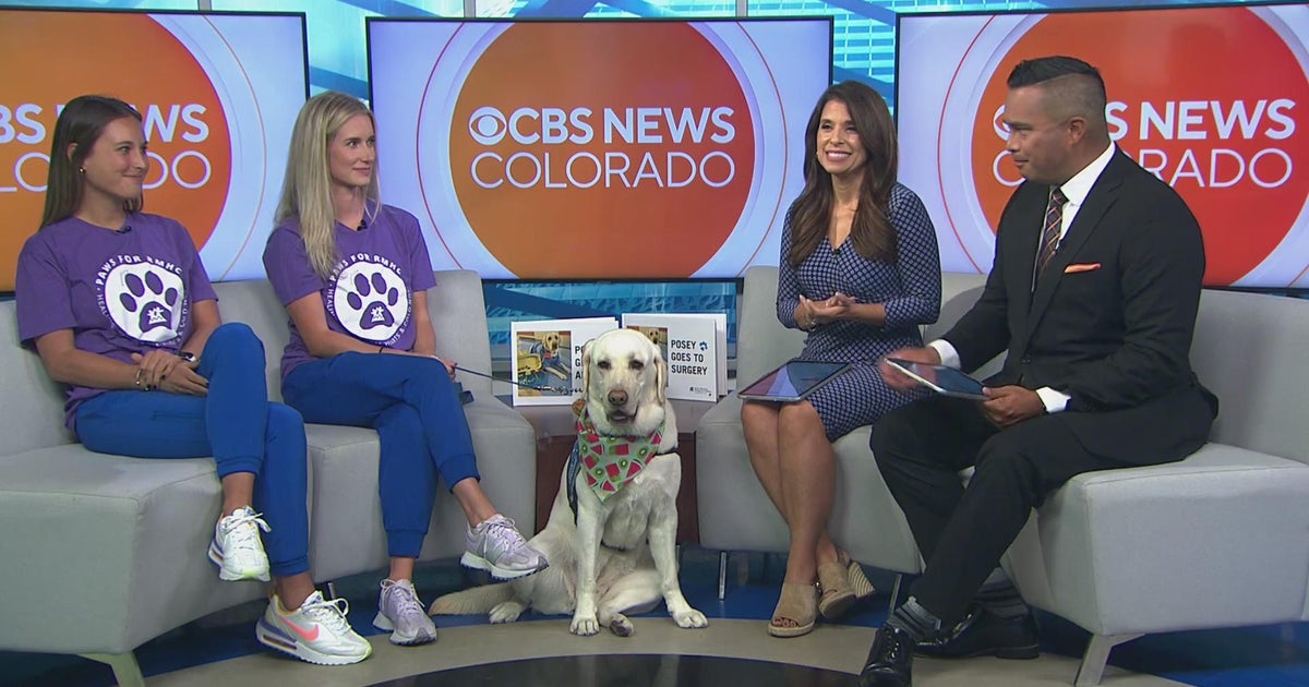 Paws for Rocky Mountain Hospital for Children helps patients through ...