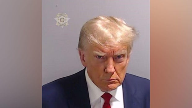 Donald Trump mug shot