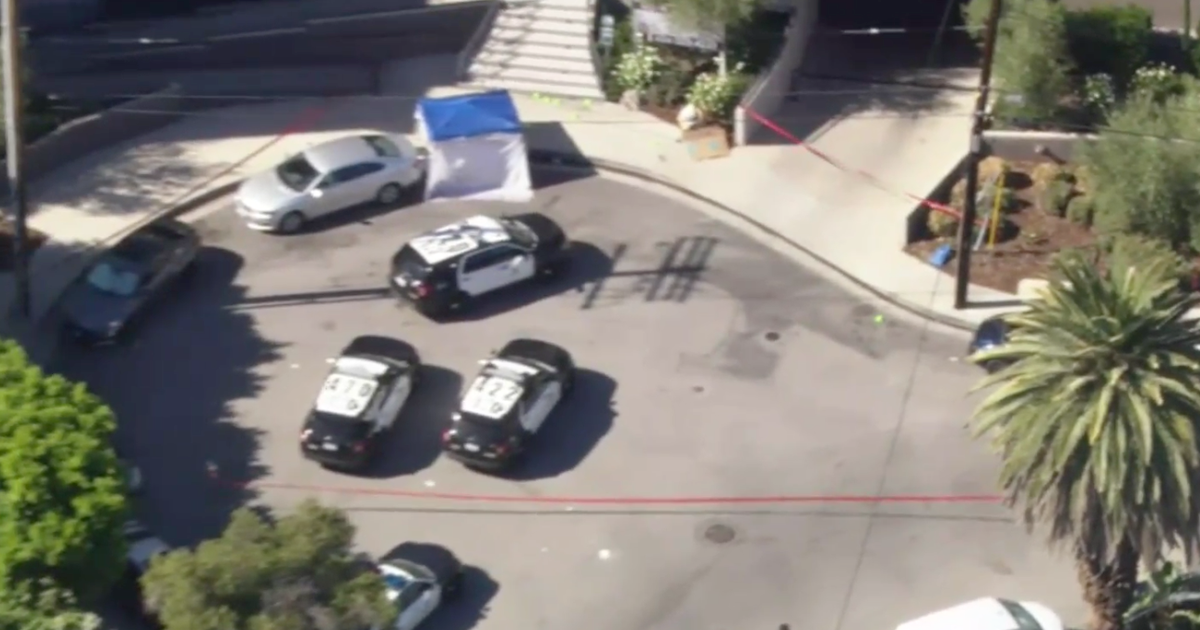 Police shoot, kill man allegedly armed with knife in Northridge - CBS ...