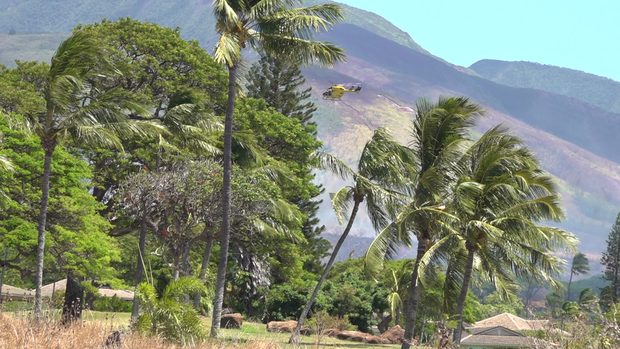 New Maui brush fire forces evacuation of Lahaina neighborhood