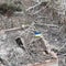 Ukrainian forces report breakthrough in counteroffensive