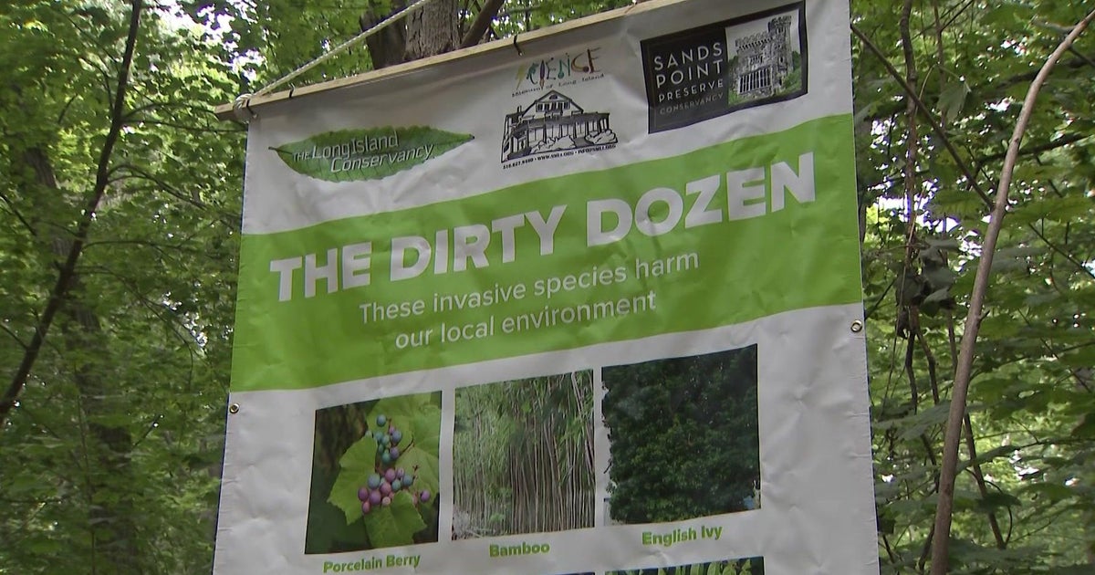Long Island environmentalists identify 
