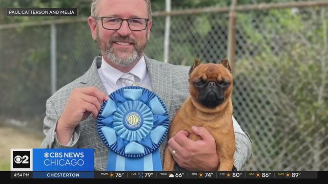 Peter Pan Great American Dog Show.jpg 