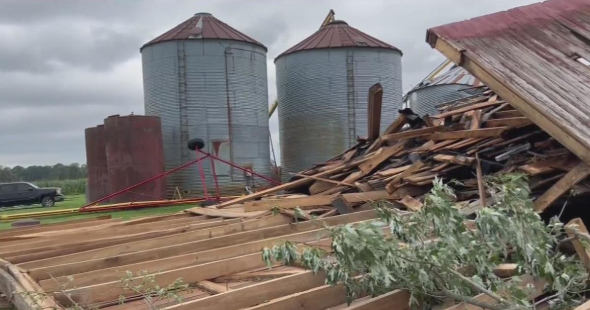 Tornado damages beloved corn maze, haunted trail in Williamston CBS