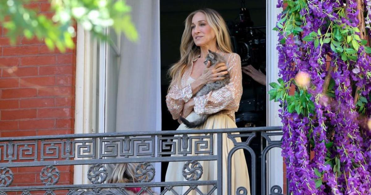 Sarah Jessica Parker adopted her 'And Just Like That' kitten in real life