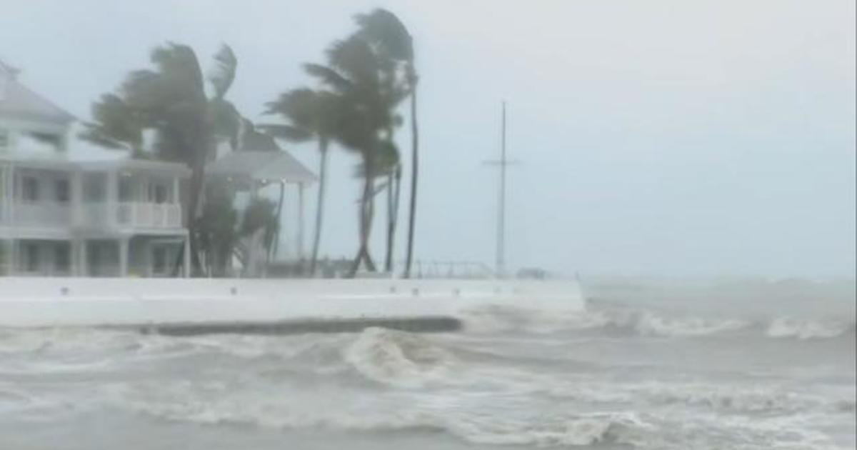 Hurricane Idalia aided whip up waves in Vital West