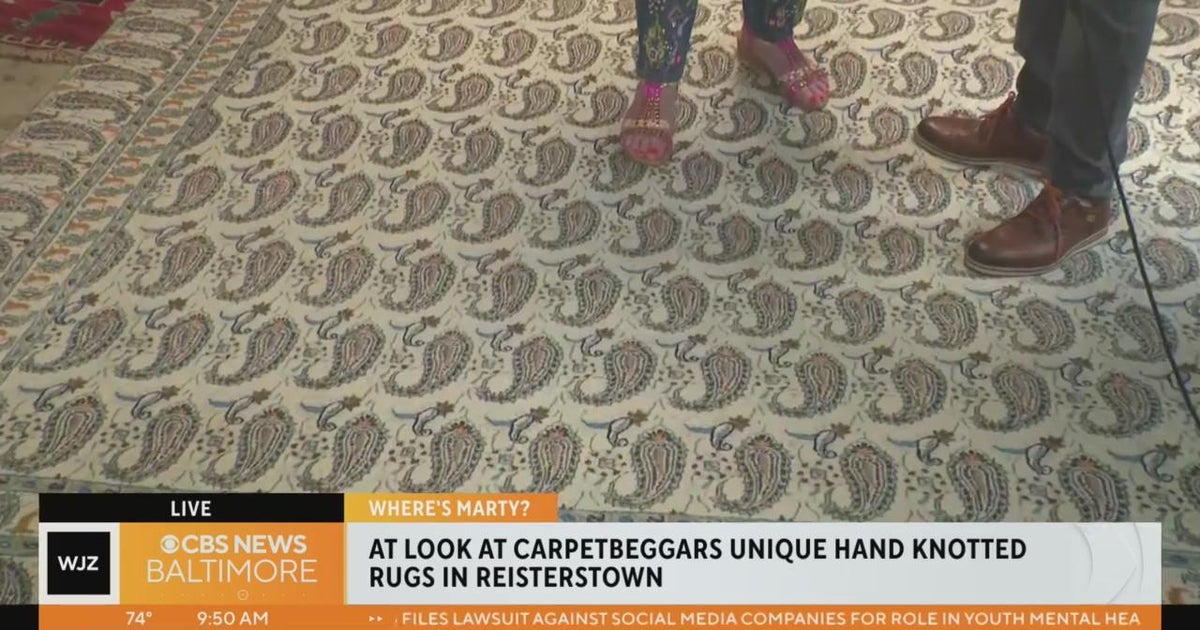 Where's Marty? Learning more about Donna Hoffman's impressive rug ...