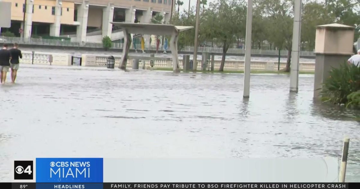 Tampa, encompassing cities dealing with flooding post Hurricane Idalia