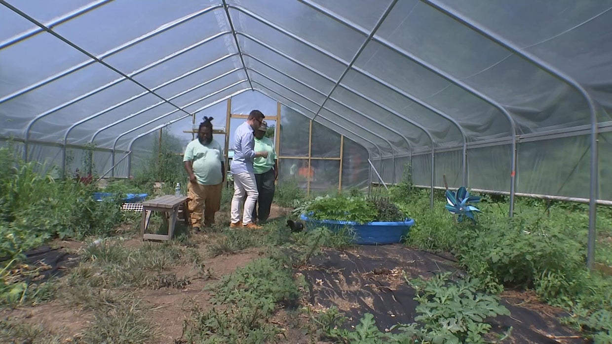West Philadelphia urban farm provides fresh produce, community ...