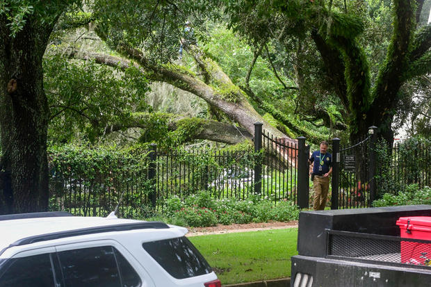 Tree toppled by Hurricane Idalia lies at Florida Governor Ron DeSantis's government mansion in Tallahassee 
