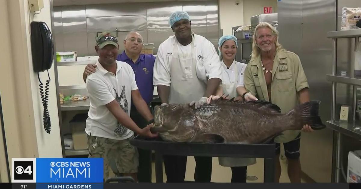 Giant grouper caught off Miami Beach front donated to Camillus Property