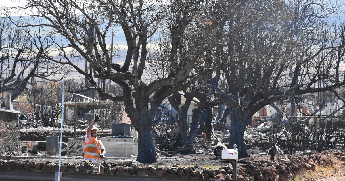 Нов „утвърден от ФБР“ списък на изчезналите при горския пожар в Лахайна съдържа 385 имена