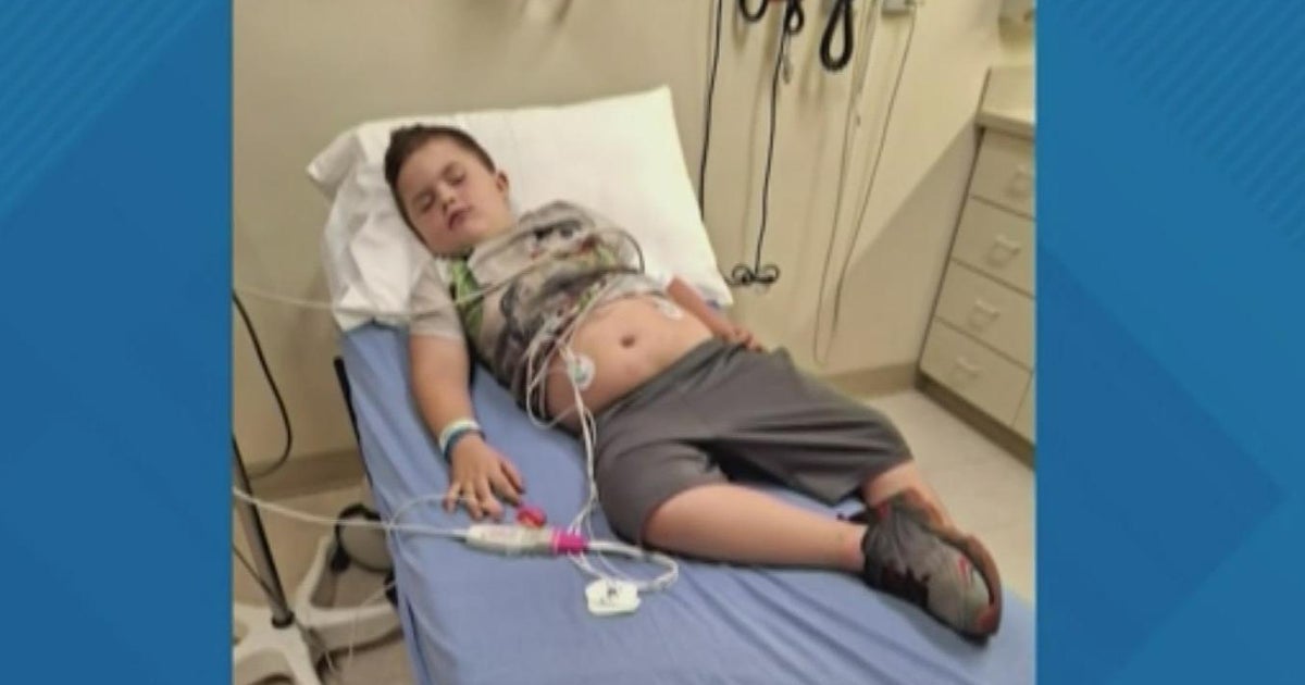 Boy accidentally tased during Labor Day festival