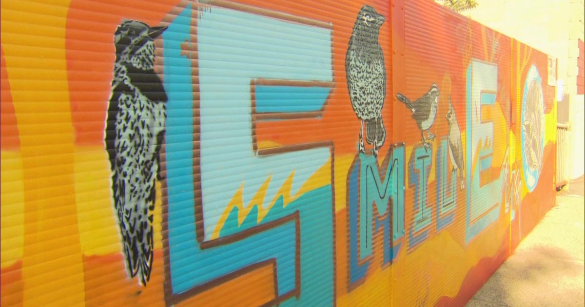 Roslindale residents transform rusty bridge with two colorful murals Roslindale residents transform rusty bridge with two colorful murals