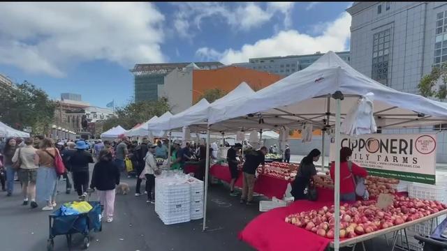 heart of the city farmers' market 