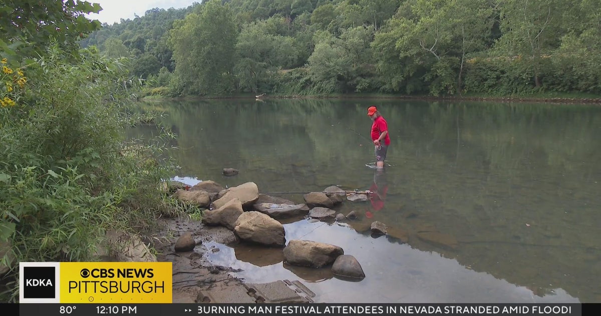 Possible alligator sighting in Kiski River reported to police CBS