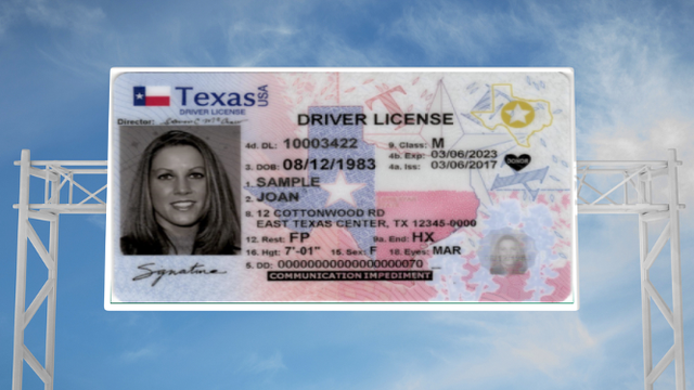 Texas driver license sample 