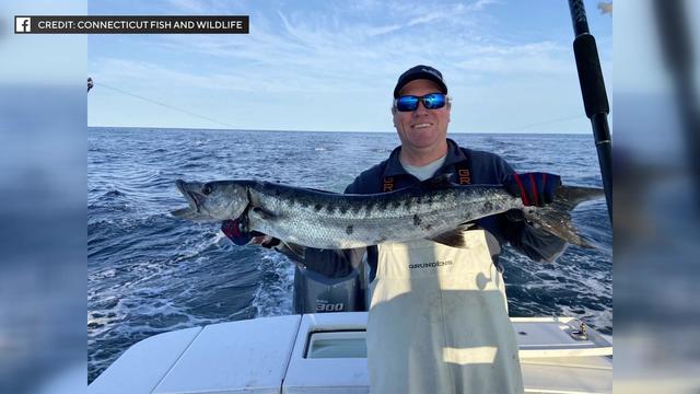 Jonathan Rogers holds a 48-inch, 19-pound great barracuda while standing on a boat on the water. 