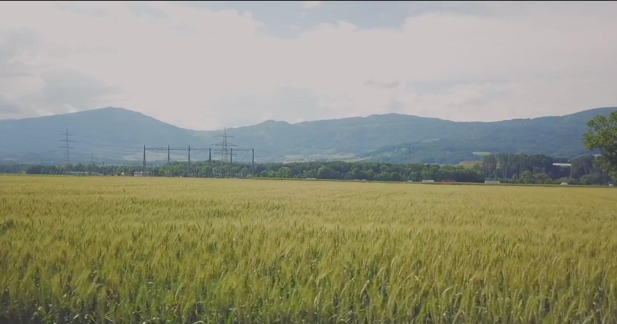 Science of Weather How depleting phosphorus is affecting plants Science of Weather How depleting phosphorus is affecting plants