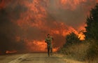 Wildfires continue to ravage Greece on the thirteenth day 