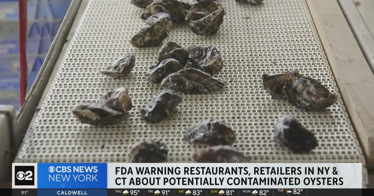 Oyster warning in 5 states, including New York and Conn. THE BHARAT