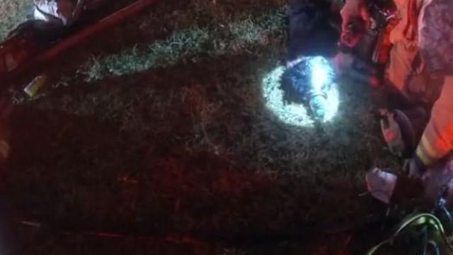 North Richland Hills firefighters rescue, revive dog from 1-alarm house fire 