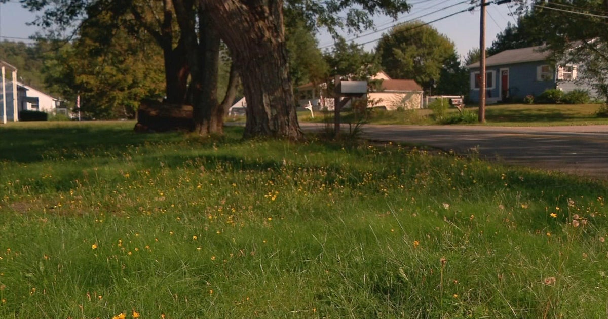 NH woman facing fines for not cutting lawn - Vimarsana News