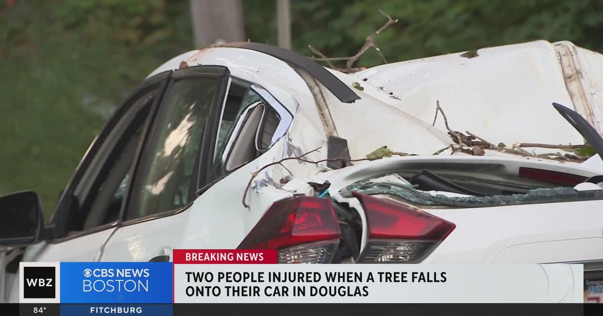 Two people injured when tree falls on car in Douglas - CBS Boston