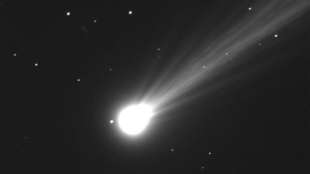 Comet Nishimura 